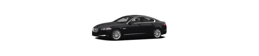 XF