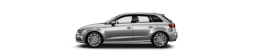 A3 Serie 3 (2012-2018)