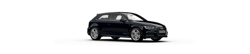 A3