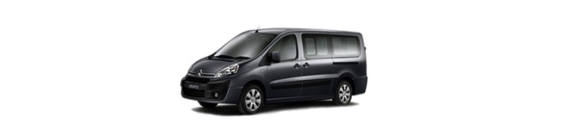 Springende