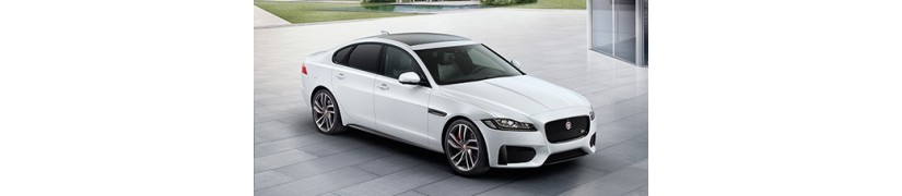 XF