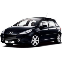 Turbo hibrid pentru Peugeot 307