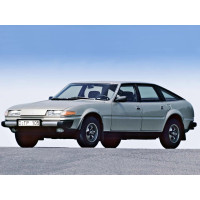 Turbina za Rover SD1