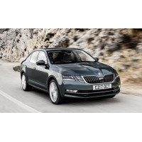 Turbófeltöltő patron turbo a / az számára Skoda Octavia