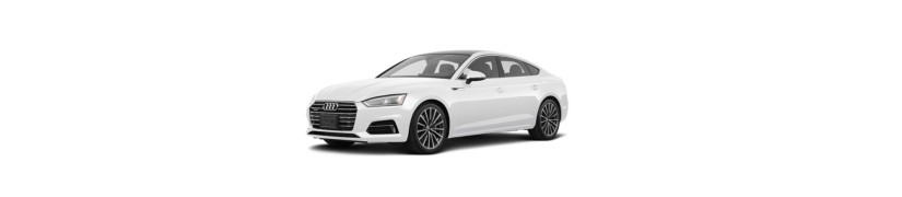 A5