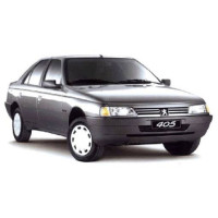 Turbina Peugeot 405