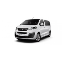 Turbina Peugeot Traveller