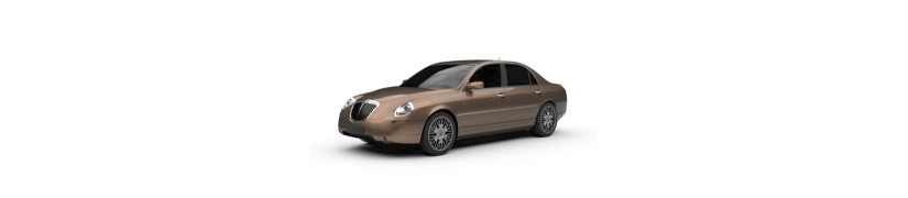 Thesis