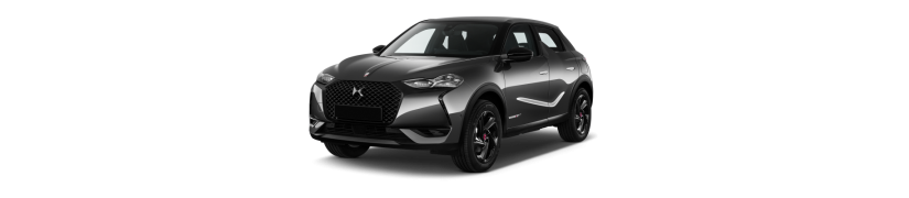 DS3