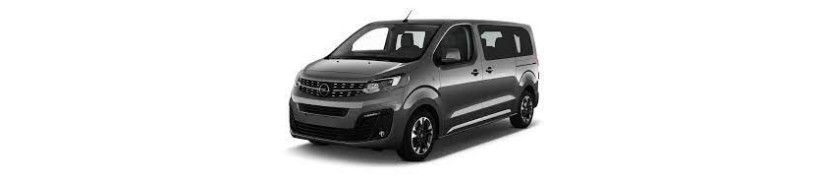 Zafira D (2019-20 m... )