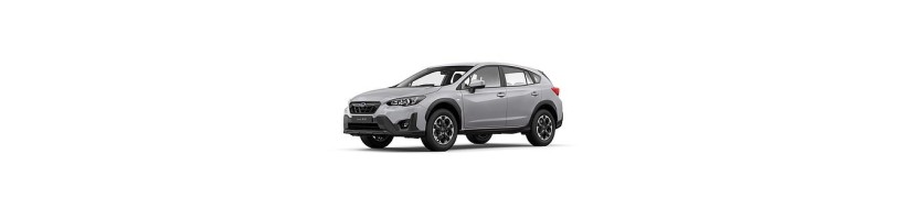 XV