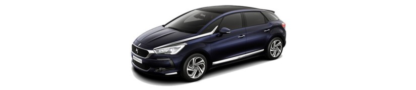 DS 5