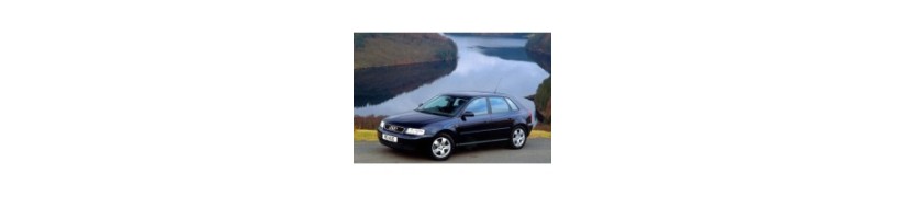 A3 Серия 1 (1996-2003)