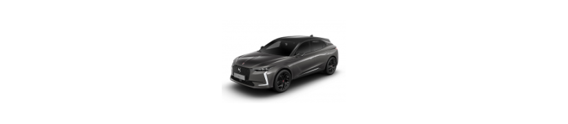 DS DS4
