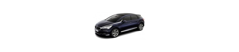 DS DS5