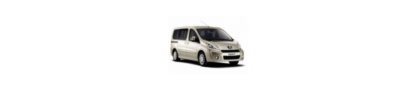 Ekspertas