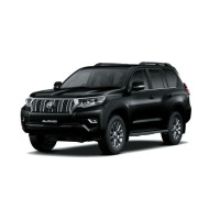 Kartuša hibridnega turba Toyota Prado