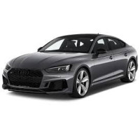 Kasetė turbokompresoriaus skirtas Audi RS5