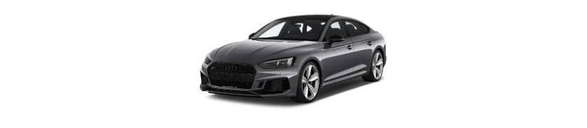 Audi R5