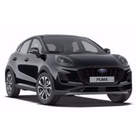 Турбина за ford Puma
